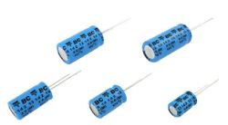 VISHAY MAL214256101E3